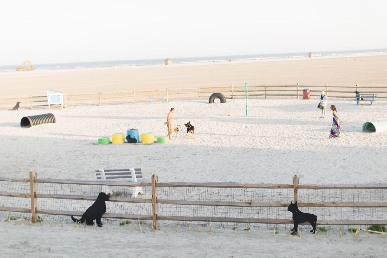 The Shore House Wildwood Bagian luar foto